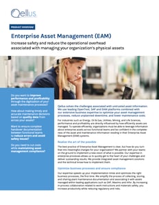QEL-Enterprise-Asset-Management-EAM-PO-v1.0