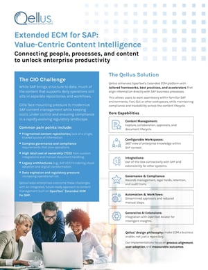 qellus-extended-ecm-for-sap-one pager_Page_1